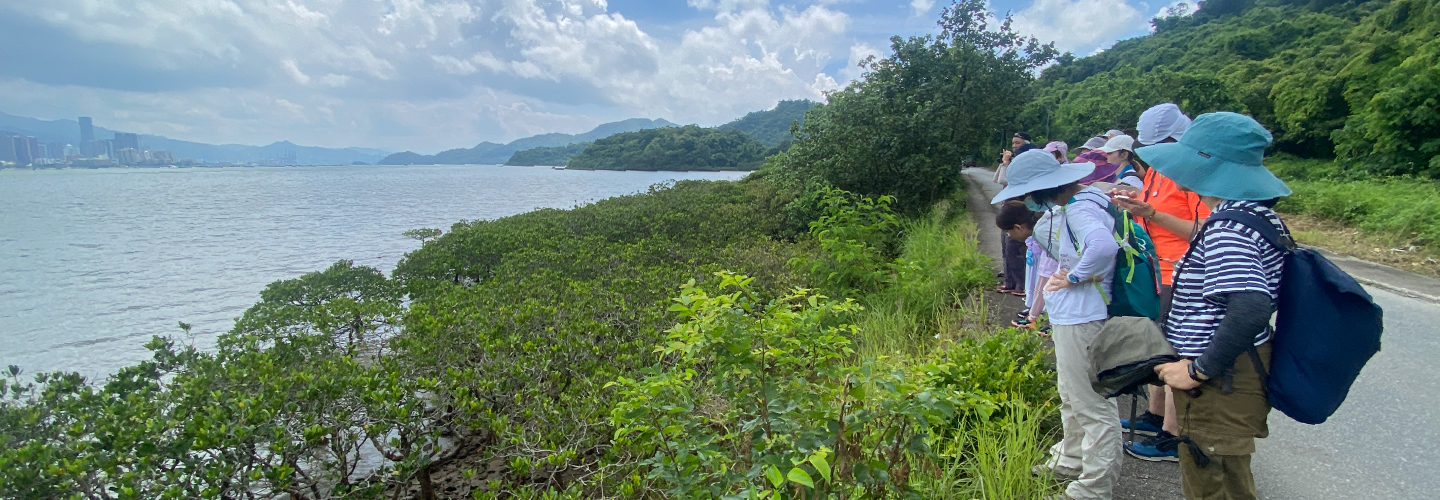 About Nature Rescue