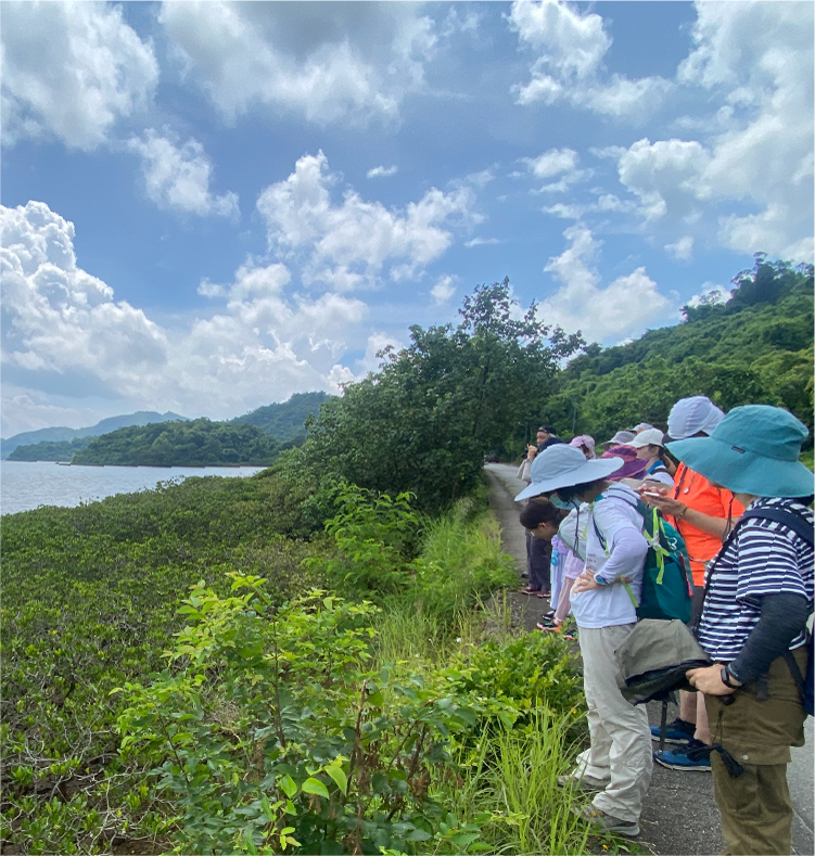 About Nature Rescue